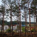 송이펜션 이미지