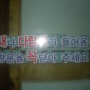 백천면