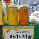 모아팜 네이버블로그
