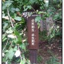 진주 이충무공 진배미 유적지 | 머무는 숲 수곡 — 이순신 장군이 머물던 곳