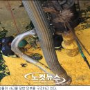 제주특별자치도개발공사(제2감귤공장) 이미지