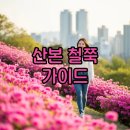 군포충전소 | 군포 철쭉축제 일정과 가는법 산본 추천