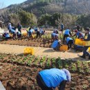 이순신대교 전망대 이미지