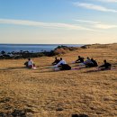 들꽃목장 이미지