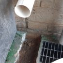 대성축산유통 이미지