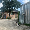 하늘길쉼터민박 이미지