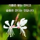 화물연대 파업 이미지