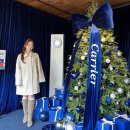 블루시티트리가 | 캐리인더시티in해방촌 크리스마스 팝업 스토어 이태원 데이트코스 추천