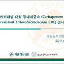 카바페넴 내성 장내세균속 (Carbapenemresistant Enterobacteriaceae, CRE) 검사 이미지