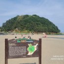 2025년5월 24일~25일 208차 삼척 해변트레킹 1박2일 특별산행 신청방 이미지