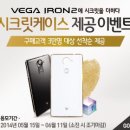 아이언케이스