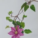 세밀화 그리기 이미지