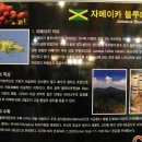 강릉커피박물관 이미지