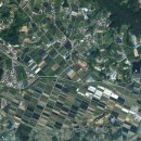 올리브부동산중개사무소 이미지