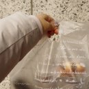 달코마이 이미지