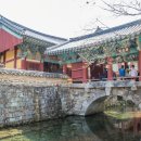 삼보불교사 티스토리