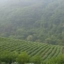 가송민박 이미지