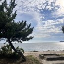 자라섬캠핑장2(A사이트) | 대부도 차박 캠핑장 비치캠핑장 A-2 사이트 이용 후기