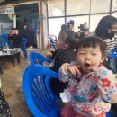 진미농장3 이미지