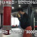 앨바트로휘트니스 이미지