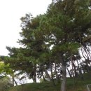 영창당 | 오인교의 전라도누정기행-순천 영창당(永昌堂)