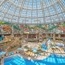 인스파이어 이미지