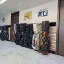 다인스크린골프 이미지