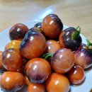 흑토마토 이미지