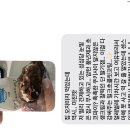죽었으면 좋겠어. 죽었으면 좋겠어. 그럼 죽어. 죽어버려.
