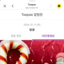 바비숑펫살롱 이미지