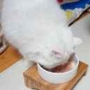 냠냠테크 이미지