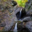 주왕산약국 이미지