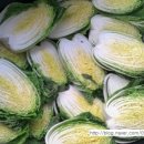 윤희농장 이미지