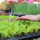 충주농약마트 이미지