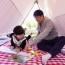 게으름의 낭만 이미지