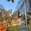 하나로정육식당 | 하남 소고기 맛집 정육식당 천년소나무 후기