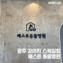 베스트동물병원 | 광주 베스트동물병원 강아지 건강검진 스케일링 후기