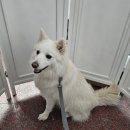 두두스테이 이미지