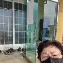신성마을경로당 Daum카페