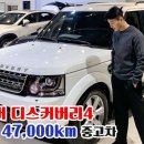 영카랜드 이미지