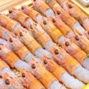 고등어회결사 이미지