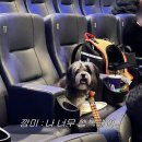 추억만들기 이미지