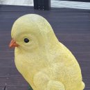 선운사의추억 이미지