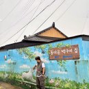 돈지백구마을 이미지