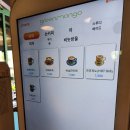 양평카페 대형카페 수국같은 불두화정원 그린망고카페 내돈내산후기