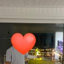 메르베르스파애견펜션 | [거제 메르베르 스파애견펜션] 거제 2박3일 여행♡