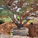 영흥축산 이미지