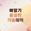 삐땅기의원 이미지