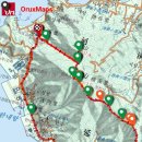 레몬트리 이미지