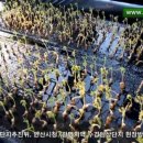 두두랜드